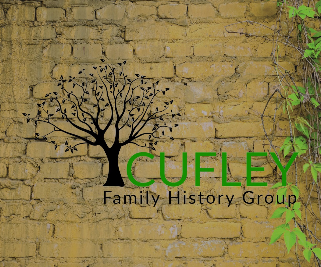 Cuffley Y-DNA